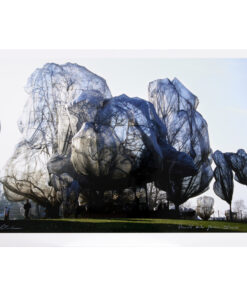 CHRISTO (Bulgaria 1935 - NY 2020) - Wrapped Trees, Fondation Beyeler and Berower Park - on Dibond